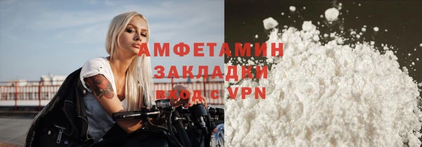 сатива Беломорск