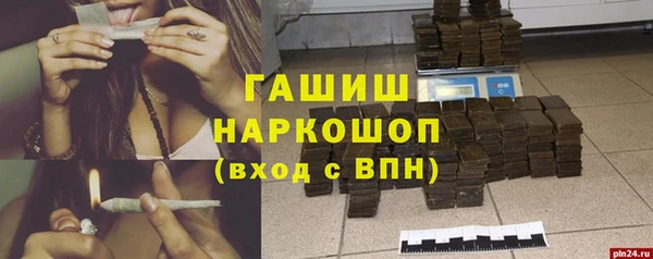 сатива Беломорск