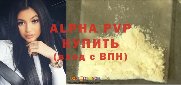 сатива Беломорск