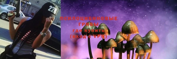 сатива Беломорск