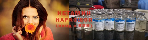 сатива Беломорск