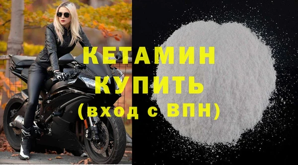 сатива Беломорск