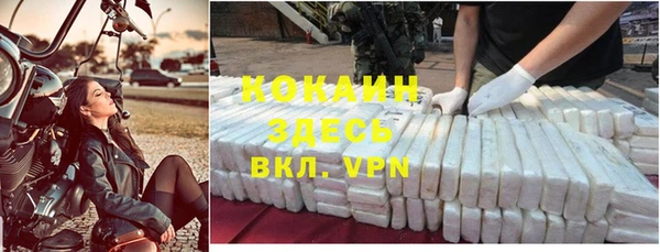 сатива Беломорск