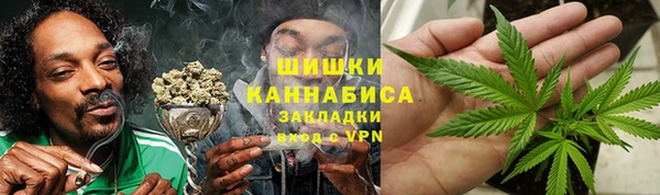 сатива Беломорск