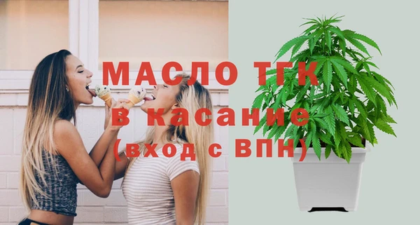 сатива Беломорск